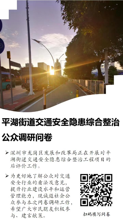 2：平湖街道2019年道路交通安全隐患综合整治工程项目后评价调查问卷.jpg