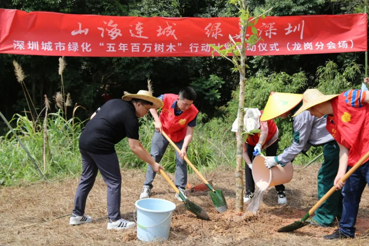 pg电子官网
开展深圳城市绿化“五年百万树木”行动计划植树活动.jpg